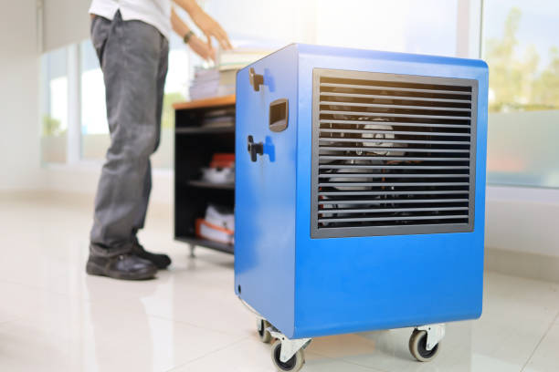 Best Mold Removal for HVAC Installations  in Edgerton, KS